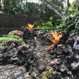 Meet your Posher, Dee